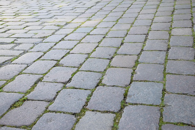 kamenná dlažba